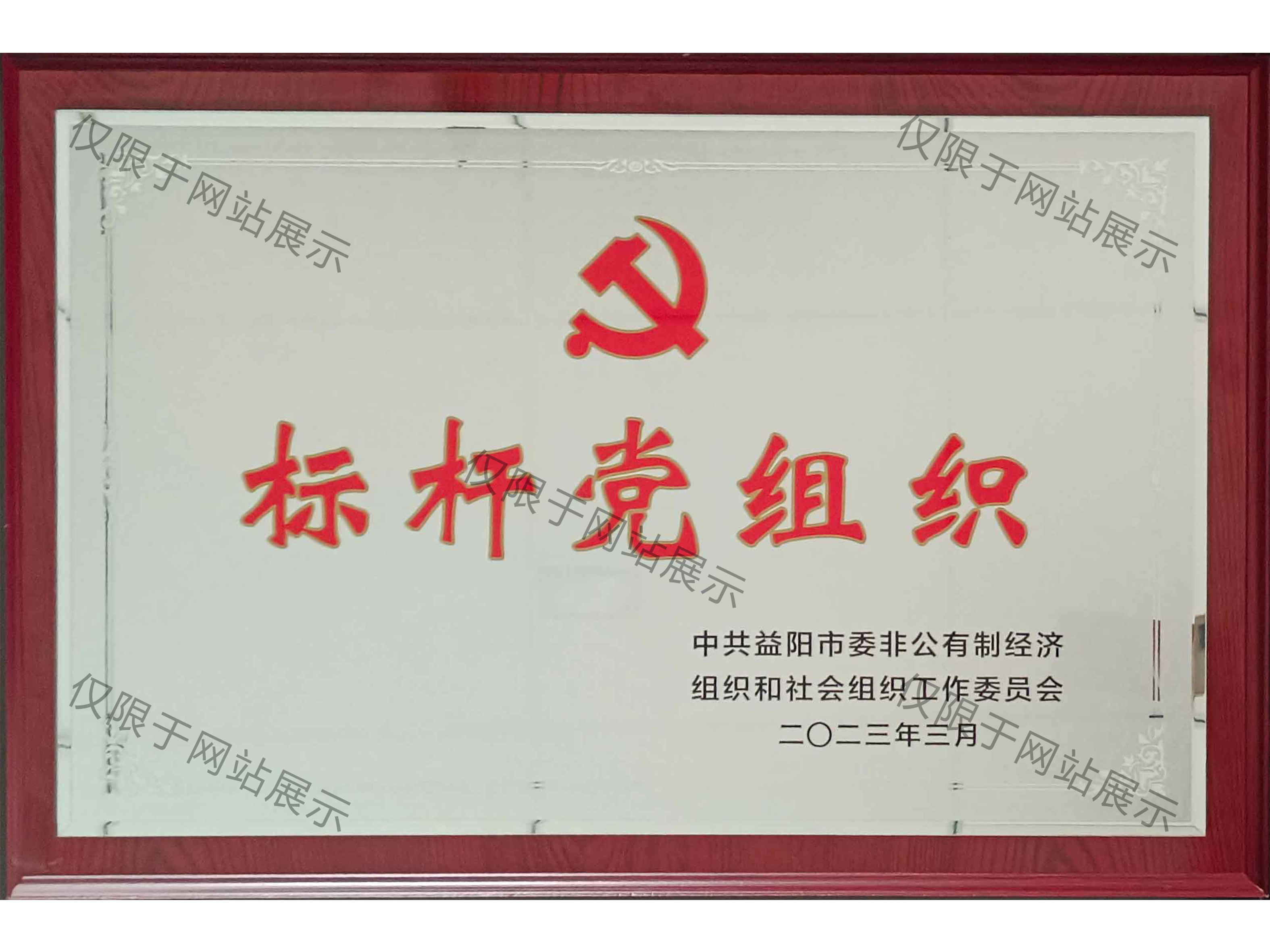 2023年益陽(yáng)市標(biāo)桿黨組織