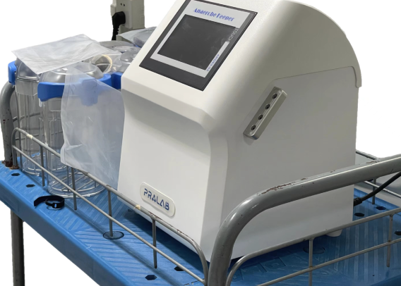 厌氧培养¾pÈ»ŸåQŒæ€Žä¹ˆæˆäØ“åŽŒæ°§å·¥ä½œç«™çš„é™æœ¬çŽ‹ç‰Œ